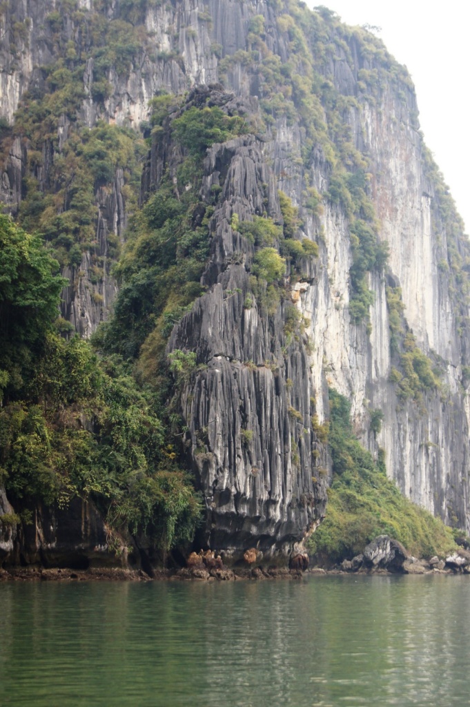 5HaLong-bay0126-681x1024
