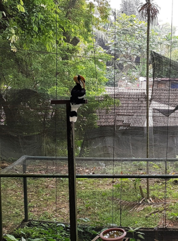 7KL BirdPark0022