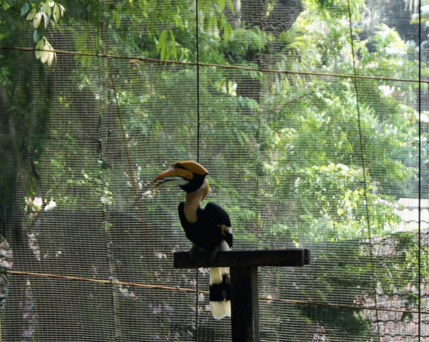 BirdPark0091