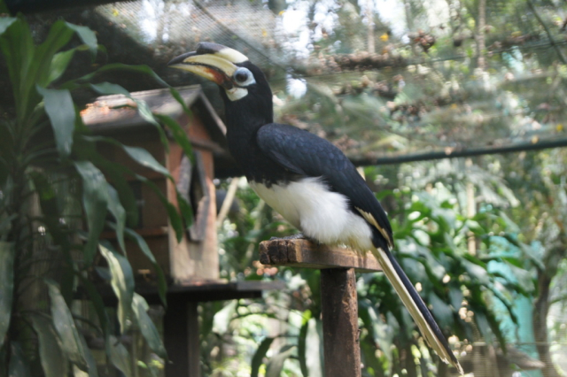 BirdPark0093