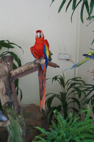 BirdPark0098