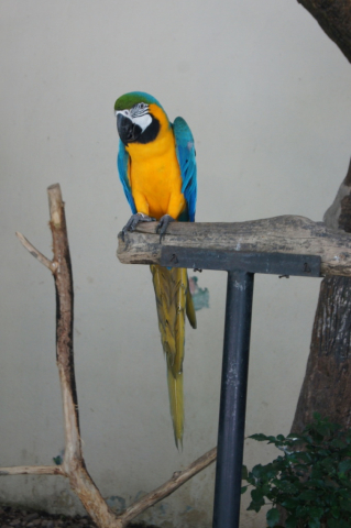 BirdPark0100