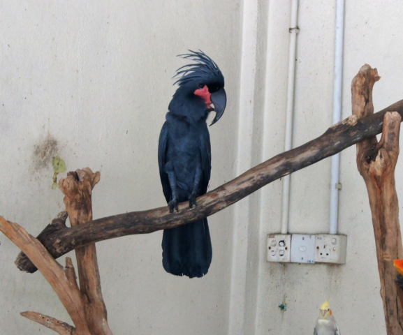 BirdPark0103