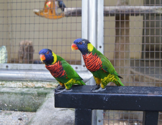 BirdPark0113