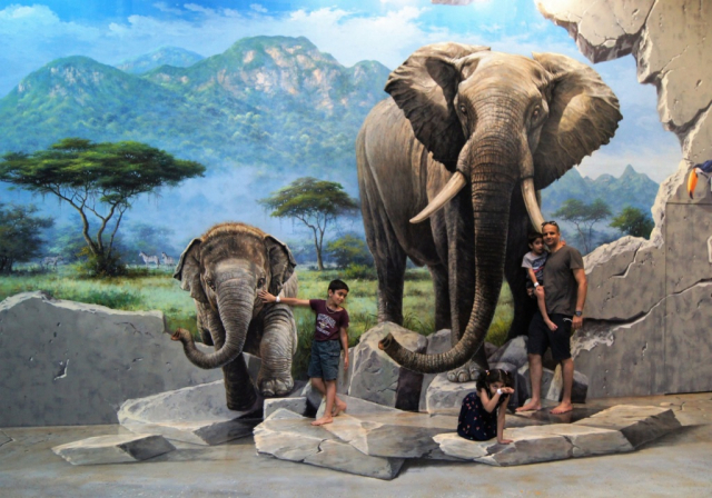 .... można odwiedzić dżunglę .... można odwiedzić dżunglę