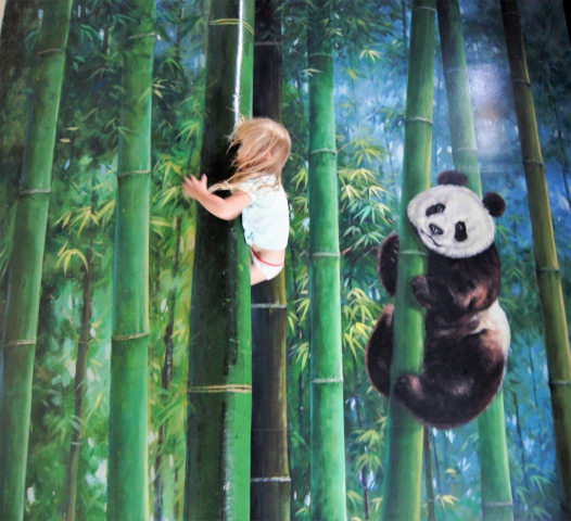 .... można pościgać się z pandą we wchodzeniu na bambusa .... można pościgać się z pandą we wchodzeniu na bambusa