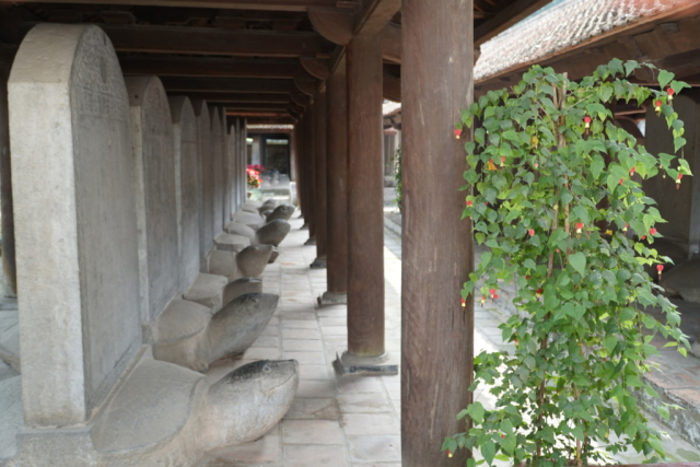 Hanoi KAM0205 Żółwie