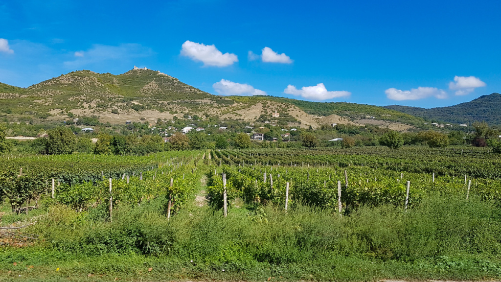 Kachetia to kraina winnic