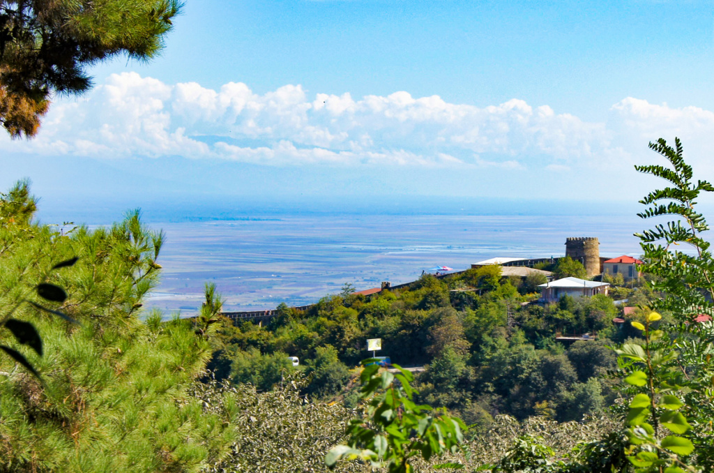 Gruzja miasteczko Signagi