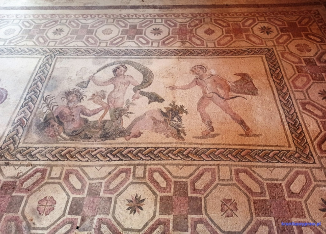 Mozaiki podłogowe Mozaiki podłogowe