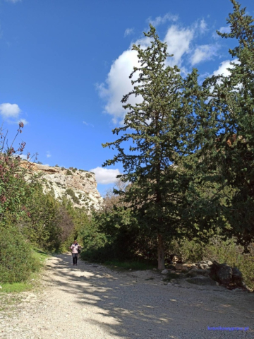 Na Cyprze pod cyprusem Na Cyprze pod cyprusem