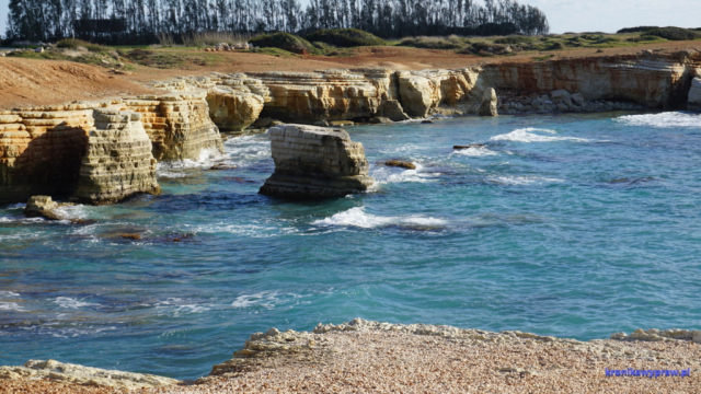 Zatoka wraku Zatoka wraku