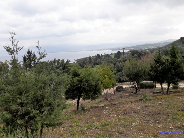 D6 Baths Aphrodite 0024