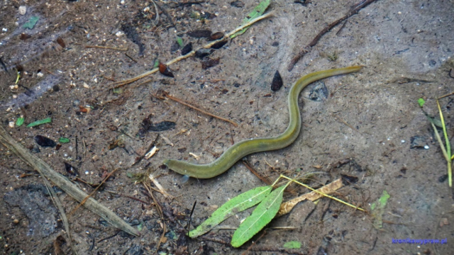 D6 Baths Aphrodite 0048