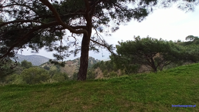 D6 Baths Aphrodite 0122