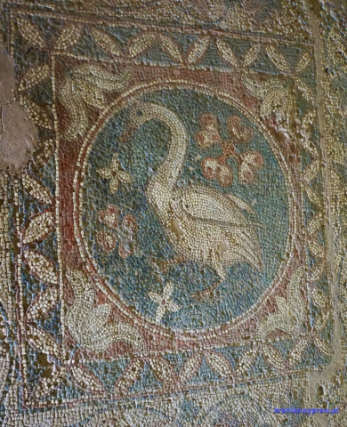 Najbardziej znana mozaika podłogowa z Soli Najbardziej znana mozaika podłogowa z Soli