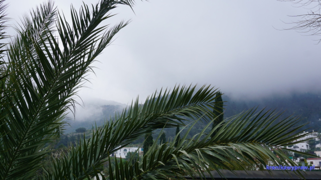 Opactwo Bellapais - widok na góry - następny do zwiedzania miał być zamek Hilariona położony wysoko w górach - musieliśmy zrezygnować Opactwo Bellapais - widok na góry - następny do zwiedzania miał być zamek Hilariona położony wysoko w górach - musieliśmy zrezygnować