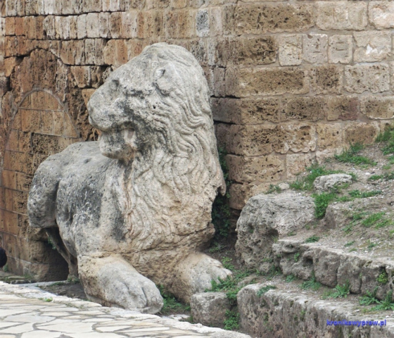 Lew - symbol władców weneckich Lew - symbol władców weneckich