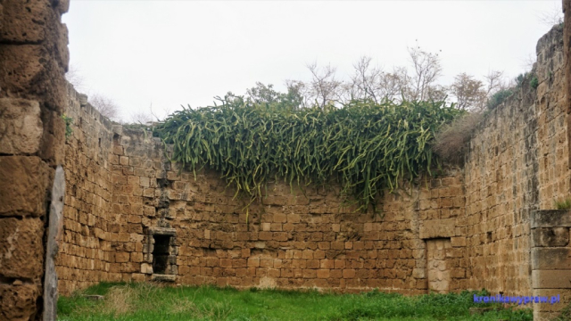 Ruiny kościoła Ruiny kościoła