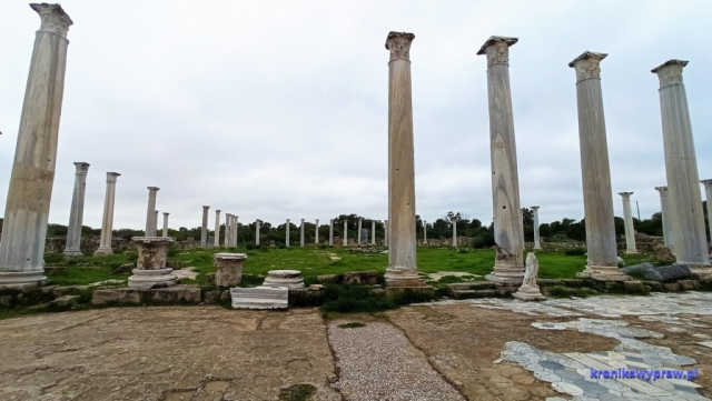 Gimnazjon (miejsce ćwiczeń i zawodów sportowych otoczone kolumnadą) Gimnazjon (miejsce ćwiczeń i zawodów sportowych otoczone kolumnadą)