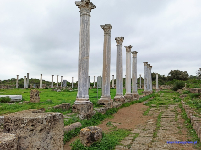 Gimnazjon (miejsce ćwiczeń i zawodów sportowych otoczone kolumnadą) Gimnazjon (miejsce ćwiczeń i zawodów sportowych otoczone kolumnadą)