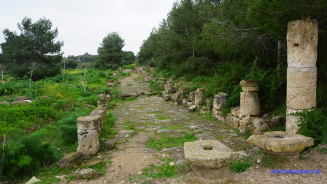 Rzymska ulica z kolumnami Rzymska ulica z kolumnami
