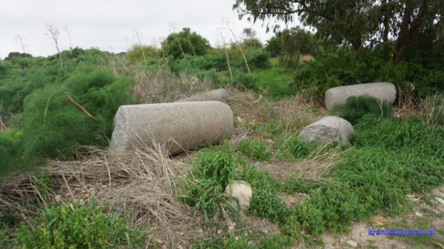 Granitowe kolumny Granitowe kolumny