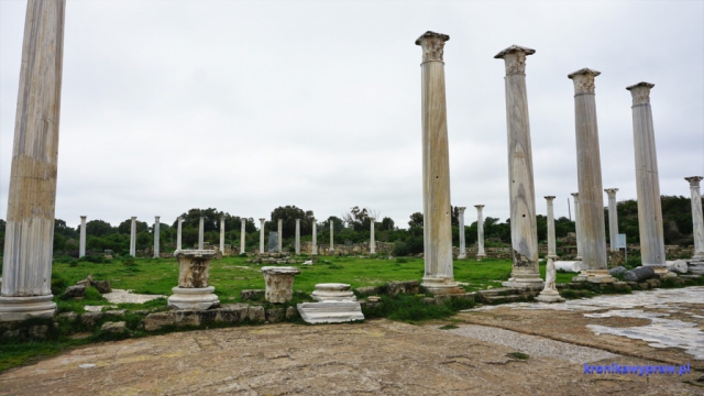 Gimnazjon (miejsce ćwiczeń i zawodów sportowych otoczone kolumnadą) Gimnazjon (miejsce ćwiczeń i zawodów sportowych otoczone kolumnadą)