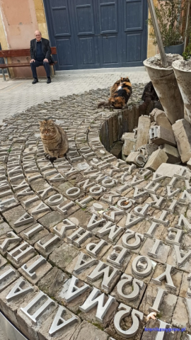 Przyjście pilnowane przez koty - tak to na Cyprze bywa. Przyjście pilnowane przez koty - tak to na Cyprze bywa.