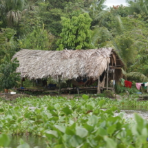 Indiańska chata nad Orinoko Indiańska chata nad Orinoko