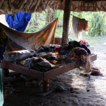 Indiańska chata nad Orinoko - żyją raczej bezstresowo Indiańska chata nad Orinoko - żyją raczej bezstresowo