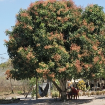 Tak gorąco - po co się męczyć Tak gorąco - po co się męczyć