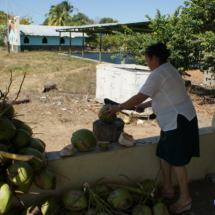 To są kokosy ! To są kokosy !