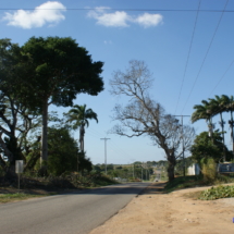 Wenezuelska droga Wenezuelska droga