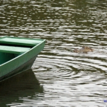 Skrada się - chyba głodny Skrada się - chyba głodny