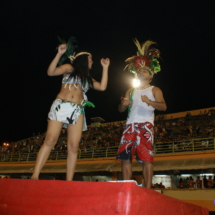 Manaus - Carnaboi 2010 Manaus - Carnaboi 2010