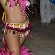 Manaus - Carnaboi 2010 Manaus - Carnaboi 2010