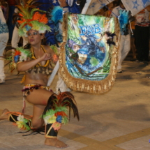 Manaus - Carnaboi 2010 Manaus - Carnaboi 2010