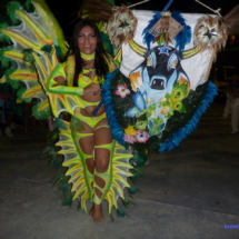 Manaus - Carnaboi 2010 Manaus - Carnaboi 2010