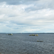 Widok na Rio Negro Widok na Rio Negro