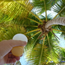 Palmy i drinki były w cenie Palmy i drinki były w cenie