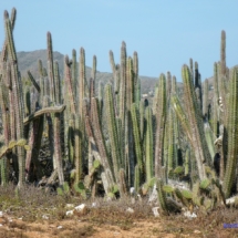 Isla Margarita Isla Margarita