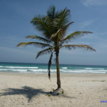Isla Margarita Isla Margarita