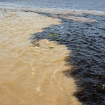 Spotkanie rzek ( Encontro das Aguas): Rio Negro, której ciemne wody spotykają się z jasnymi wodami Solimes (Amazonki). Spotkanie rzek ( Encontro das Aguas): Rio Negro, której ciemne wody spotykają się z jasnymi wodami Solimes (Amazonki).