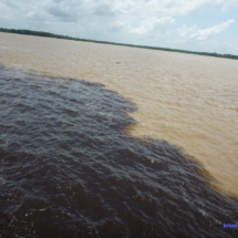Spotkanie rzek ( Encontro das Aguas): Rio Negro, której ciemne wody spotykają się z jasnymi wodami Solimes (Amazonki). Spotkanie rzek ( Encontro das Aguas): Rio Negro, której ciemne wody spotykają się z jasnymi wodami Solimes (Amazonki).