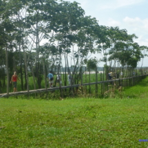 Amazoński chodnik Amazoński chodnik