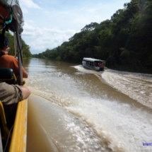 W dalszą drogę W dalszą drogę
