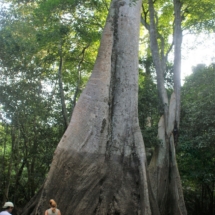 Widać poziom wody w porze mokrej Widać poziom wody w porze mokrej