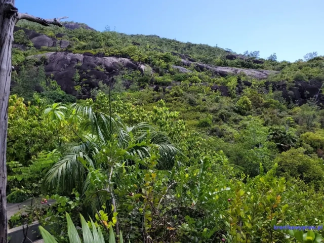Anse Major Nature Trail
