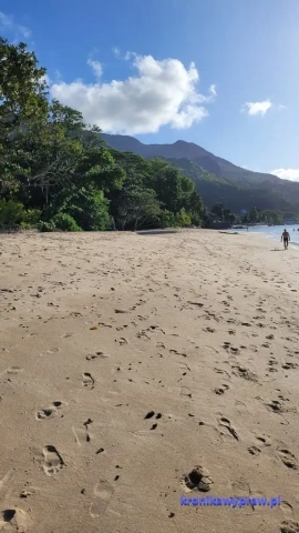 Plaża Bel Ombre_003